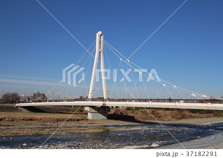 【東京都】冬の日野市ふれあい橋 37182291