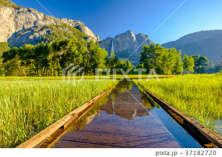 Meadow with flooded boardwalk and Yosemite Falls 37182720