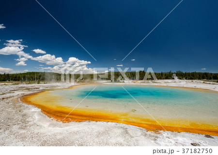 Hot thermal spring in Yellowstone 37182750