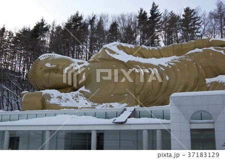 涅槃大仏 涅槃大仏 37183129