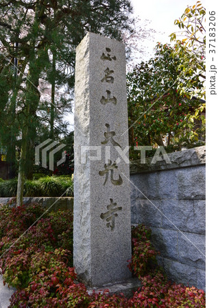 高尾　大光寺の桜　八王子市 37183206