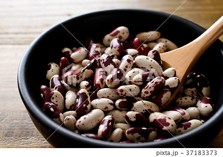 うずら豆 37183373