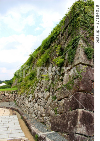 篠山城の石垣 篠山城の石垣 37184059