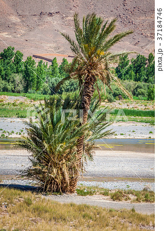 Wide view of canyon and cultivated fields Wide view of canyon and cultivated fields 37184746