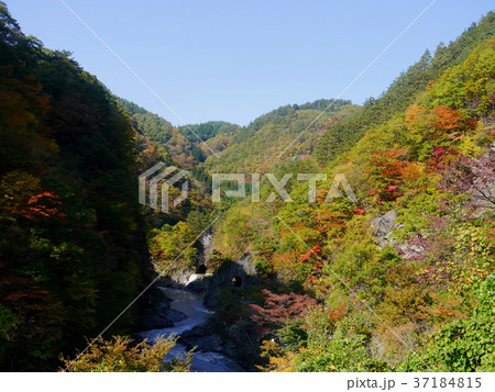 長内渓流の紅葉と旧道 長内渓流の紅葉と旧道 37184815