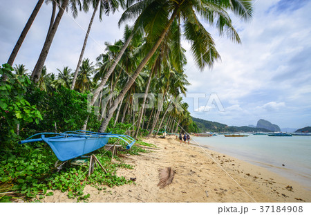 Seascape of Coron Island, Philippines Seascape of Coron Island, Philippines 37184908