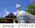 ブーケット１ 37185110