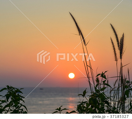 Sunset on the ocean in Southern Vietnam Sunset on the ocean in Southern Vietnam 37185327
