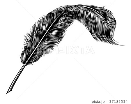 Feather Quill Pen Feather Quill Pen 37185534