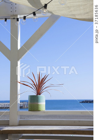 テラスからの海の眺め 37185636
