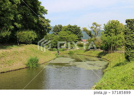道後湯築城 37185899