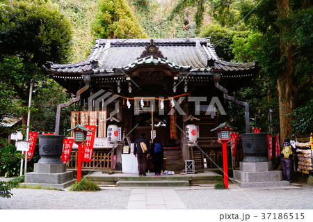 鎌倉　八雲神社 37186515