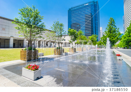 グランモール公園 美術の広場 37186550