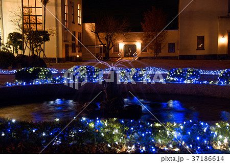 豊郷小学校イルミネーション 37186614