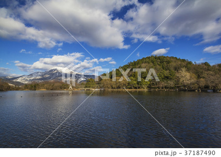 滋賀県 冬の三島池と伊吹山 滋賀県 冬の三島池と伊吹山 37187490