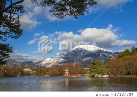 滋賀県 冬の三島池と伊吹山 滋賀県 冬の三島池と伊吹山 37187504