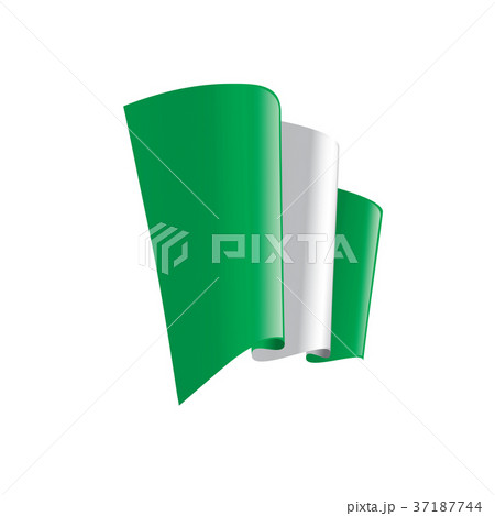 Nigeria flag, vector illustration 37187744