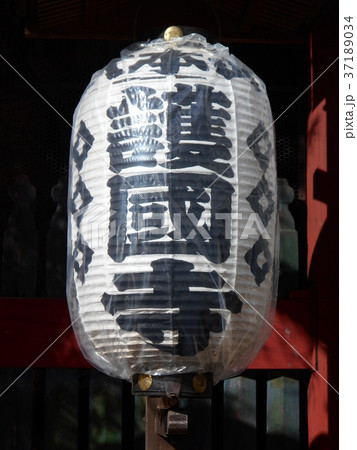 護国寺その１０ 37189034