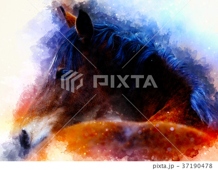 horse face and softly blurred watercolor 37190478