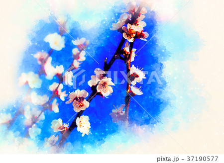 Spring flowers, Spring blossom background and Spring flowers, Spring blossom background and 37190577