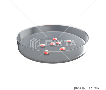 Petri Dish with Bacteria Petri Dish with Bacteria 37190760