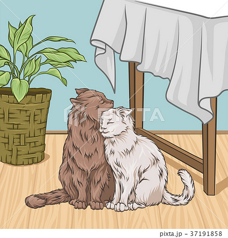 Cute cats hugging while sitting next to a table 37191858