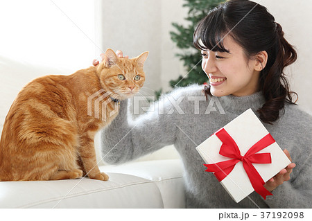 猫とプレゼント 37192098