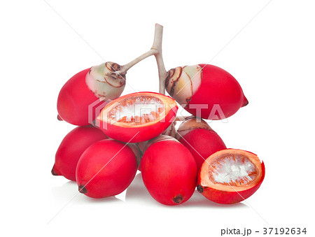 ripe betel nut fruit isolated on white background 37192634