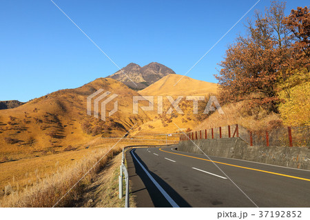冬の由布岳と九州横断道路　 37192852