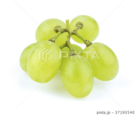 Grapes isolated on white background closeup Grapes isolated on white background closeup 37193540