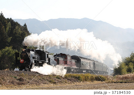 C56蒸気機関車牽引SLやまぐち号 C56蒸気機関車牽引SLやまぐち号 37194530