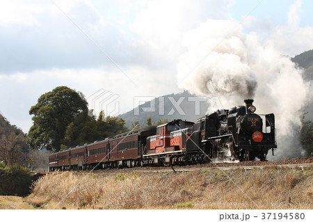 C56蒸気機関車牽引SLやまぐち号 C56蒸気機関車牽引SLやまぐち号 37194580