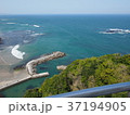 海 37194905