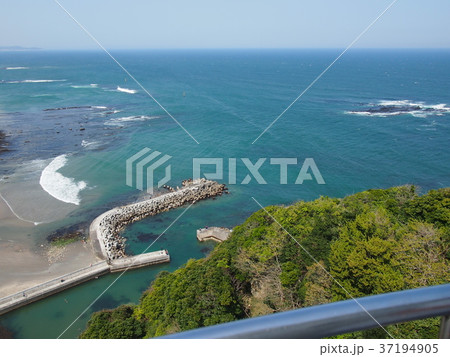 海 海 37194905