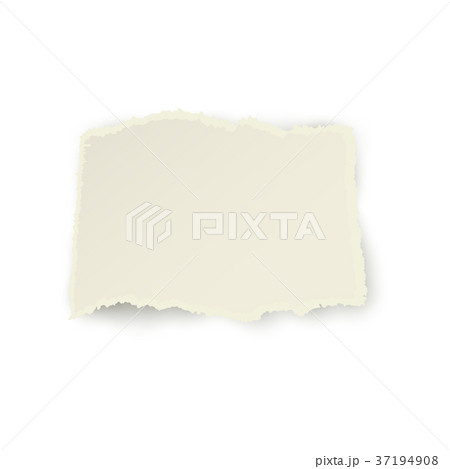 Realistic vector piece, eibbon of torn-off paper 37194908