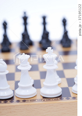 チェス チェス 37195122