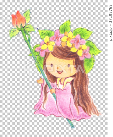 Spring elf 37195765