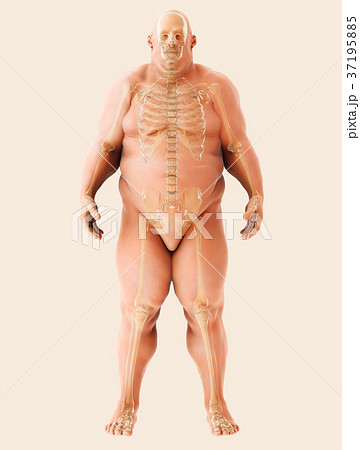 163,488 Belly Man Images, Stock Photos, 3D objects, & Vectors