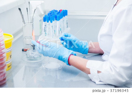 researcher performs tests 37196345