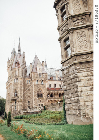 old Polish castle in the village of moszna old Polish castle in the village of moszna 37196350