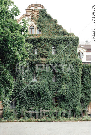 old Polish castle in the village of moszna old Polish castle in the village of moszna 37196376