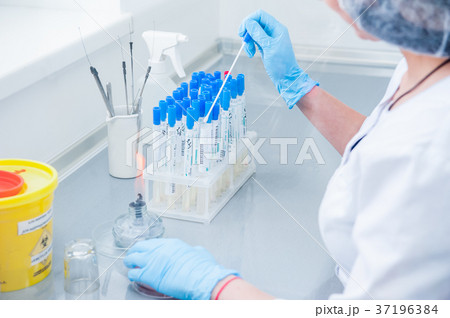 Female  researcher performs tests 37196384