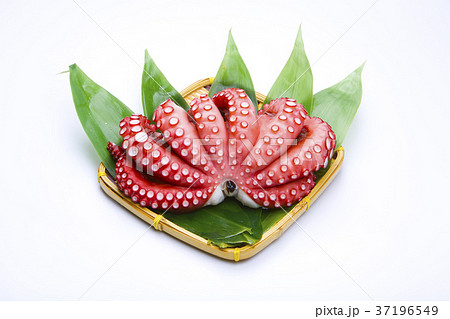 タコ　食材 37196549