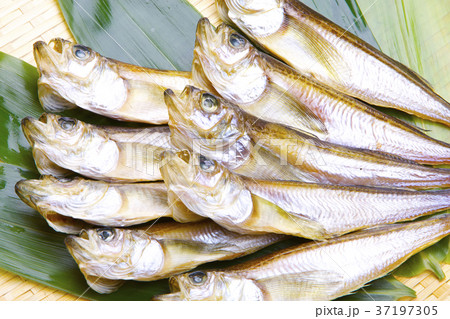 ハタハタ 干物 食材 ハタハタ 干物 食材 37197305