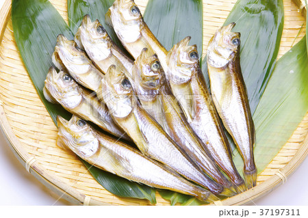 ハタハタ 干物 食材 ハタハタ 干物 食材 37197311