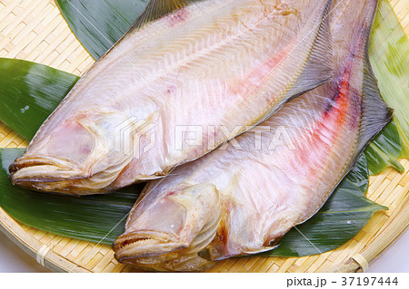 赤カレイ　干物　食材 37197444