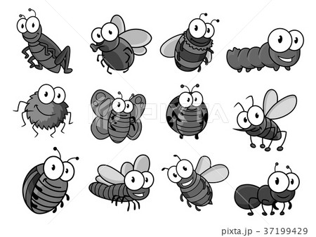 Insect cartoon character for childish design 37199429