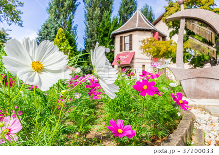 【山梨県】河口湖オルゴールの森 【山梨県】河口湖オルゴールの森 37200033