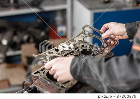 Sealing gasket in hand. The mechanic disassemble 37200879