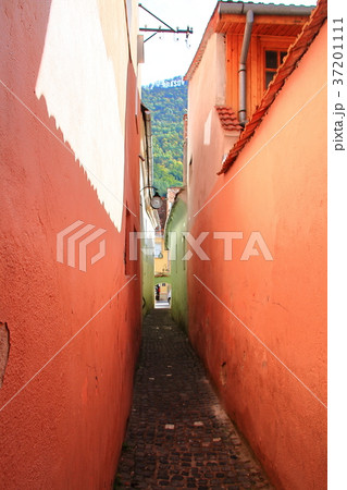 スフォリー通り（Sforii Street） 37201111